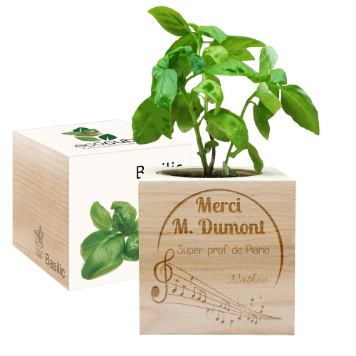 Ecocube prof de musique 