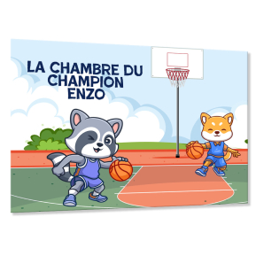 Plaque de porte chambre d'ado Basketball