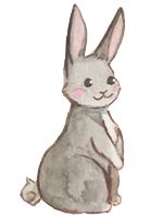 Lapin