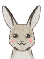 Lapin